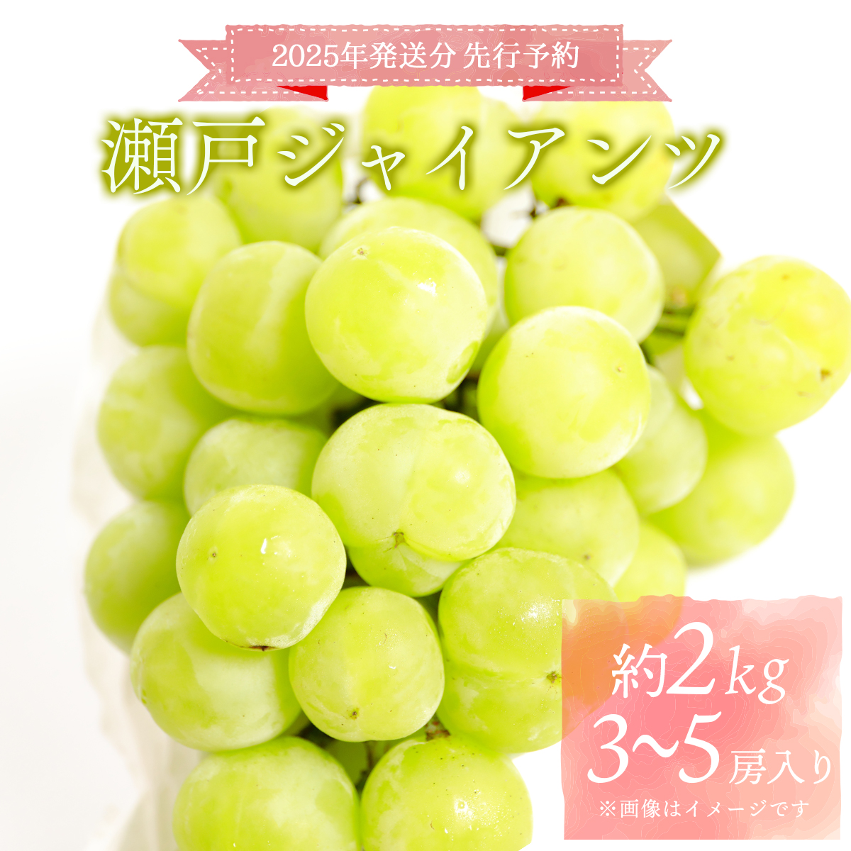 [2025年発送分 先行予約]梅村ファーム 朝摘み直送 瀬戸ジャイアンツ(3房〜5房入り 約2kg)[030-a008]
