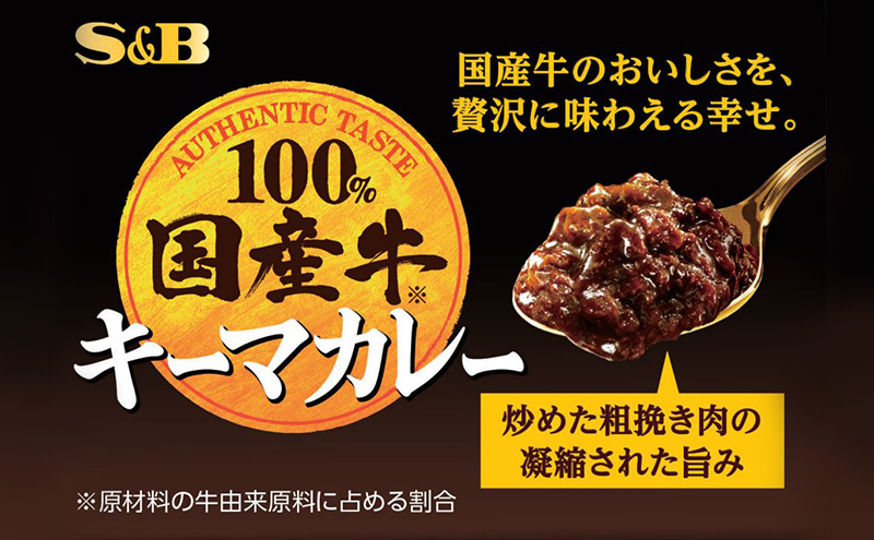 S&B 国産牛100% キーマカレー　12箱セット