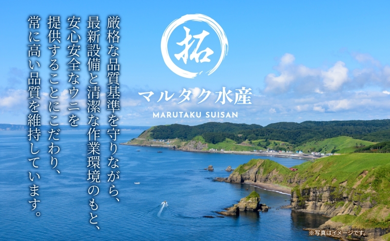 北海道産 バフンウニ 塩水パック 100g×1 雲丹 ウニ うに 新鮮