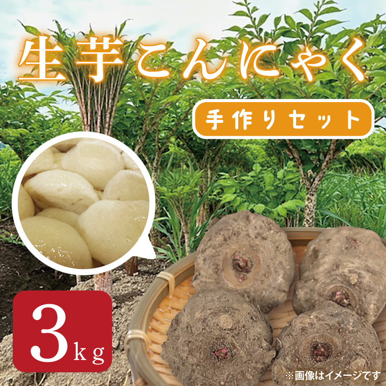 大子町産 生芋こんにゃく手作りセット 【こんにゃく芋（みやままさり）3kg ・凝固剤・レシピ付き】｜茨城県 大子町 菊池農園 蒟蒻 刺身 田舎（CL004）