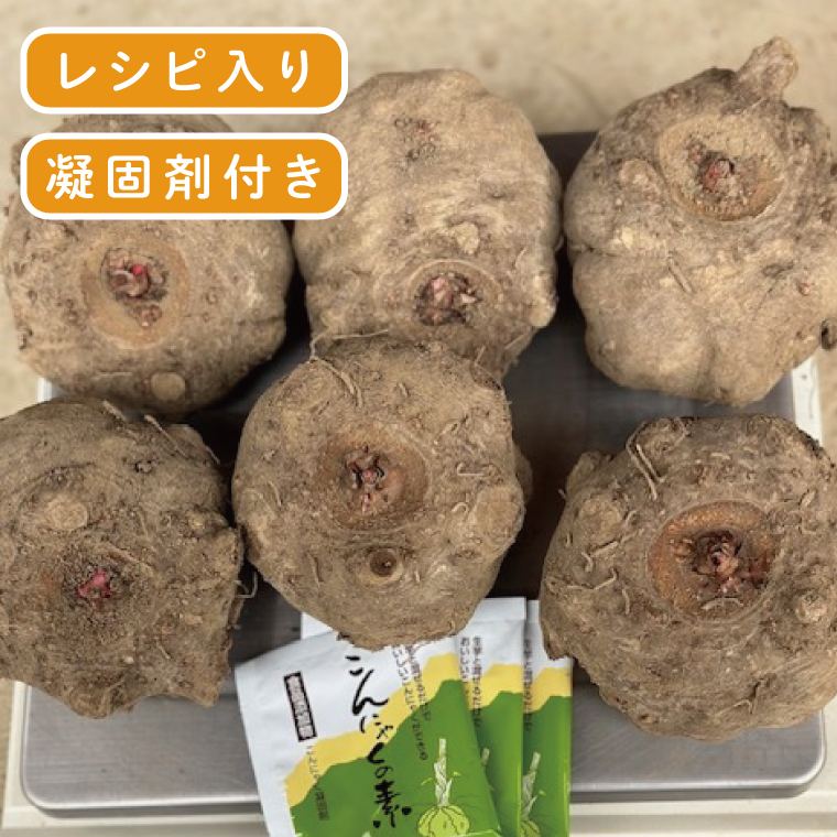大子町産 生芋こんにゃく手作りセット 【こんにゃく芋（みやままさり）3kg ・凝固剤・レシピ付き】｜茨城県 大子町 菊池農園 蒟蒻 刺身 田舎（CL004）