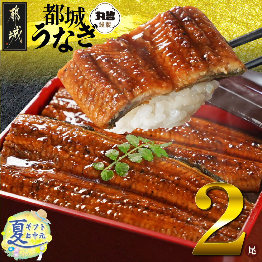 [お中元]宮崎県育ちのうなぎ蒲焼2尾300g以上≪山椒・たれ付≫_13-M301-SG