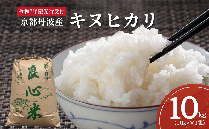 【2025年11月以降順次発送】 令和7年度産 新米予約 キヌヒカリ 10kg  京都丹波産 良心米　米 新米 白米 ごはん