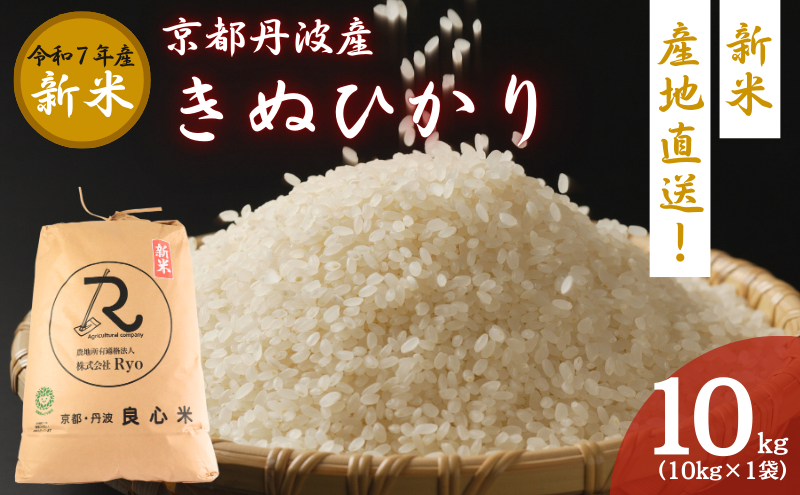 【2025年11月以降順次発送】 令和7年度産 新米予約 キヌヒカリ 10kg  京都丹波産 良心米　米 新米 白米 ごはん