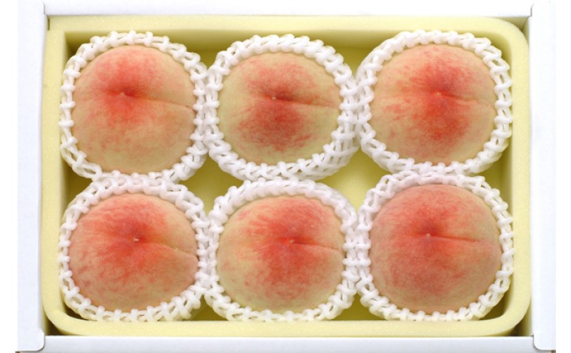 桃 2026年先行予約 岡山県産 白桃 約1.3kg 5～7玉 お届け 7月上旬～7月下旬