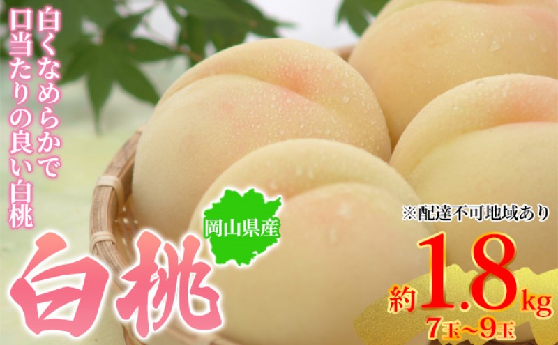 桃 2026年先行予約 岡山県産 白桃 約1.8kg 7～9玉 お届け 7月上旬～7月下旬