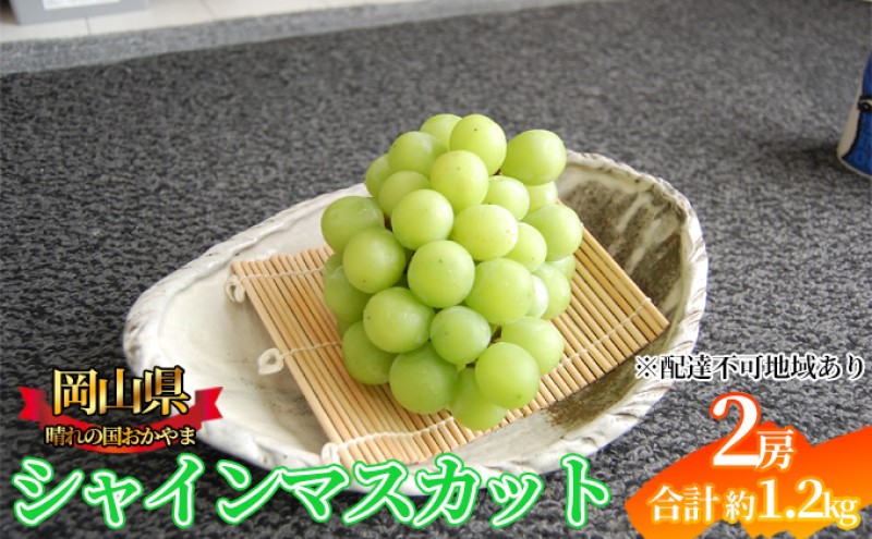 �y���R���ʖ�s�z�Ԃǂ� 2026�N��s�\�� �V���C���}�X�J�b�g 2�[ ��1.2kg ���R���Y ���͂� 9����{�`10�����{