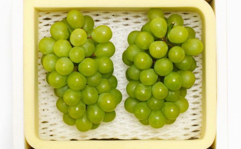 ぶどう 2026年先行予約 シャインマスカット 2房 約1.2kg 岡山県産 お届け 9月上旬～10月中旬