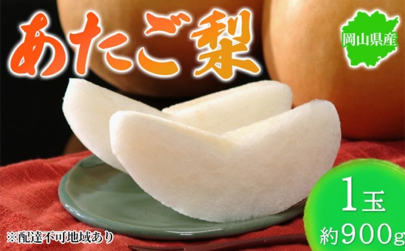【岡山県玉野市】梨 2025年先行予約 岡山県産 あたご梨 約900g 1玉 お届け11月下旬〜12月中旬
