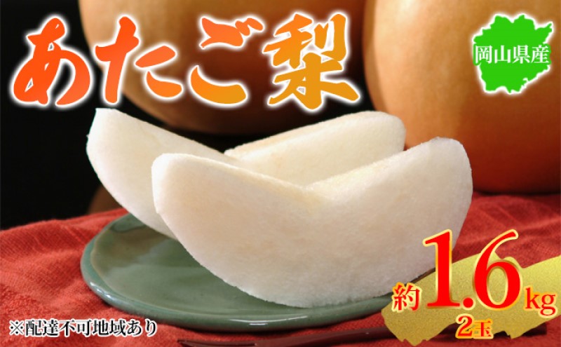【岡山県玉野市】梨 2025年先行予約 岡山県産 あたご梨 約1.6kg 2玉 お届け 11月下旬〜12月中旬