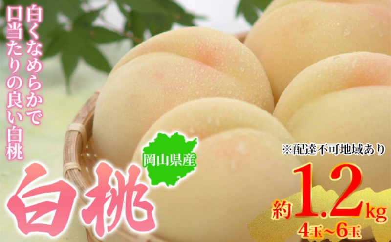 【岡山県玉野市】桃 2026年先行予約 岡山県産 白桃 約1.2kg 4〜6玉 お届け 7月上旬〜7月下旬