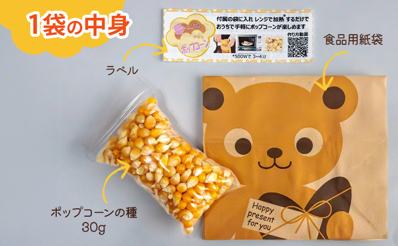 レンジで作れるポップコーン　9袋入り　ポップコーン　種　簡単　手作り　おやつ　食育