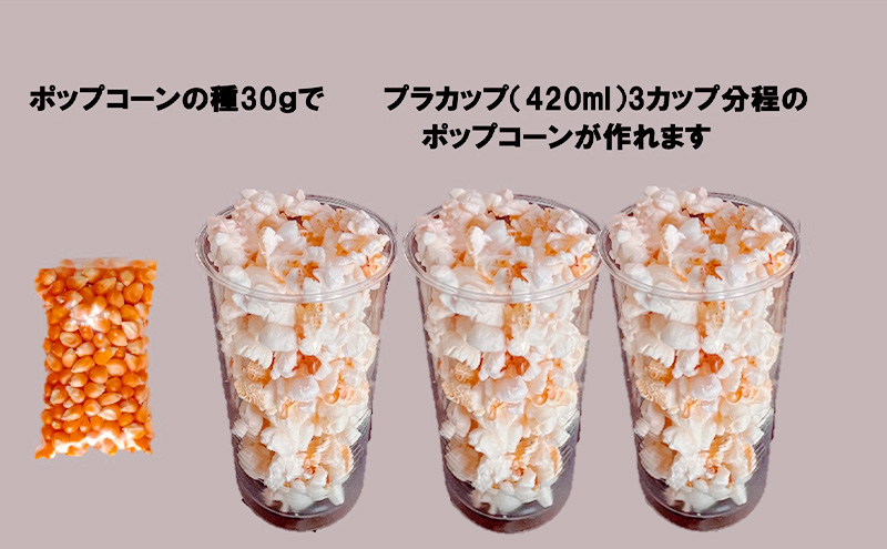 長野県小諸市のふるさと納税 レンジで作れるポップコーン　3袋入り　ポップコーン　種　簡単　手作り　おやつ　食育