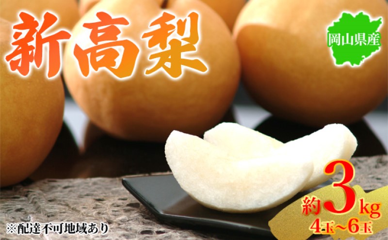 �y���R�������s�z�� 2026�N��s�\�� ���R���Y �V���� ��3kg 4�`6�� ���͂� 10�����{�`11�����{