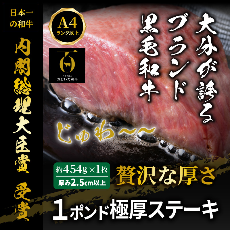 大分県国東市のふるさと納税 【A4～A5等級】まさに〃肉のエアーズロック〃おおいた和牛１ポンド極厚ステーキ_29365A