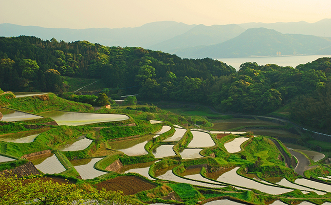 新米 予約 ベストファーマーズ賞受賞 いのちの壱 無洗米 2kg 無農薬 無添加 令和7年産 米 お米 2キロ チャック付 チャック 小分け 少量 少量パック お試し 白米 精米 産地直送 こめ おこめ コシヒカリ 送料無料 長野