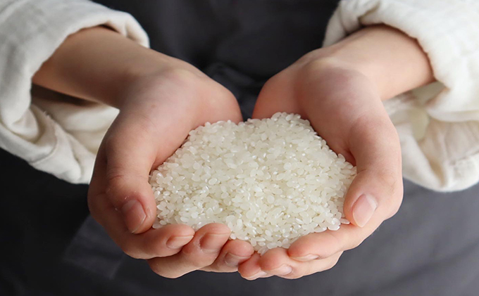 新米 定期便 6ヶ月 ベストファーマーズ賞受賞 いのちの壱 無洗米 5kg 令和7年産 米 お米 5キロ 6か月 30kg 30キロ 白米 精米 産地直送 こめ コシヒカリ 送料無料 長野 長野県 長野県産 小諸 小諸市 定期 6回