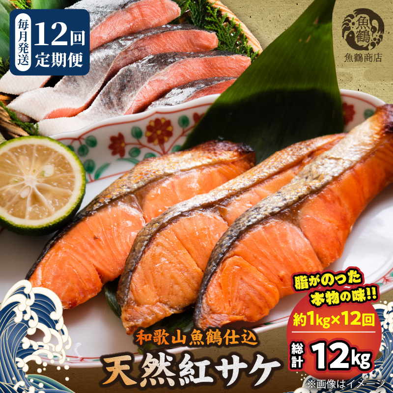 【和歌山県有田郡湯浅町】G60-T87_脂と旨みたっぷり!魚鶴仕込の天然 紅サケ 紅鮭 鮭 サーモン 切身 切り身 約1kg  全12回定期便