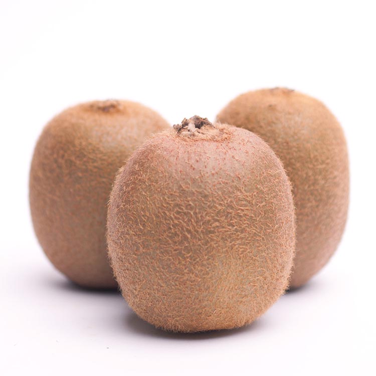 ＜2025年11月より発送＞厳選 キウイフルーツ1kg+250g（傷み補償分）◇ ※北海道・沖縄・離島への配送不可 ※2025年11月中旬～2026年4月下旬頃に順次発送予定