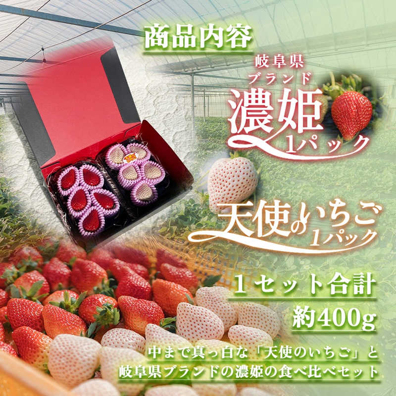 天使のいちご 紅白セット 苺 約400g いちご 詰め合わせ セット 岐阜県 海津市