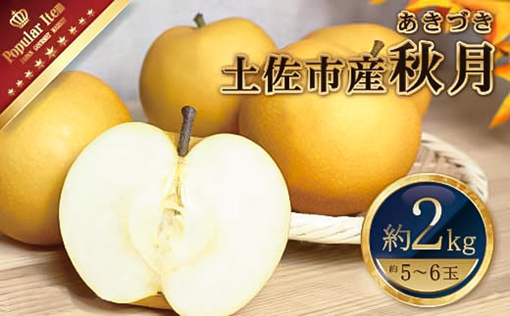 土佐文旦(ぶんたん) (小玉サイズ:M～L混合) 約5kg【株式会社とさ