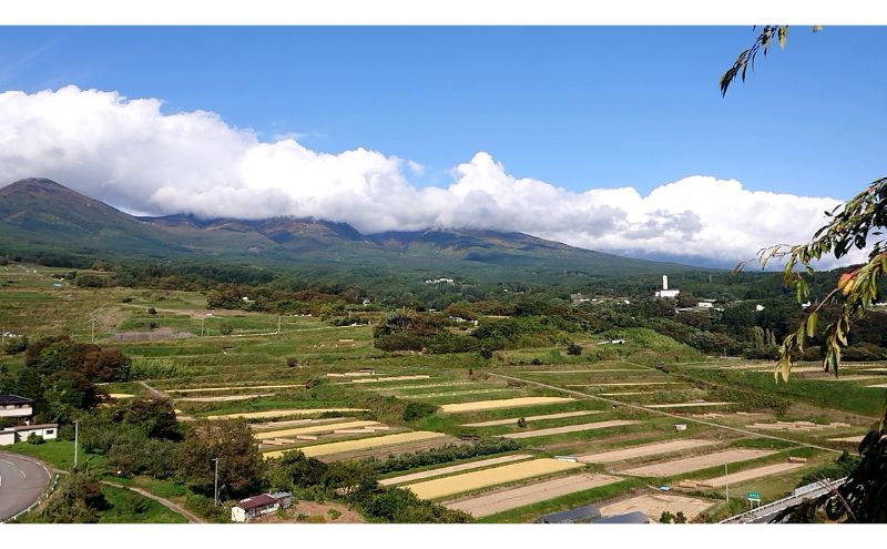 米 信州小諸産マイスターブレンド米【白米／3kg】 コシヒカリ あきたこまち ひとめぼれ コメ お米 ごはん ご飯 信州 長野県 小諸市