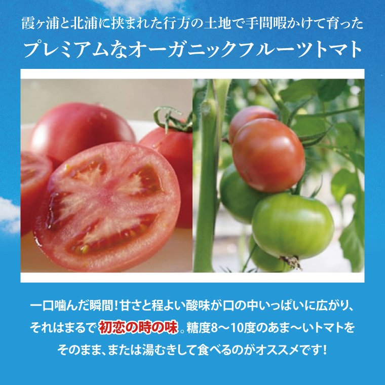 【2026年2月より順次発送】★フルーツトマト★KISSトマト 2箱｜トマト とまと フルーツ フルーツトマト KISSトマト 先行予約 茨城県 行方市(AC-2)