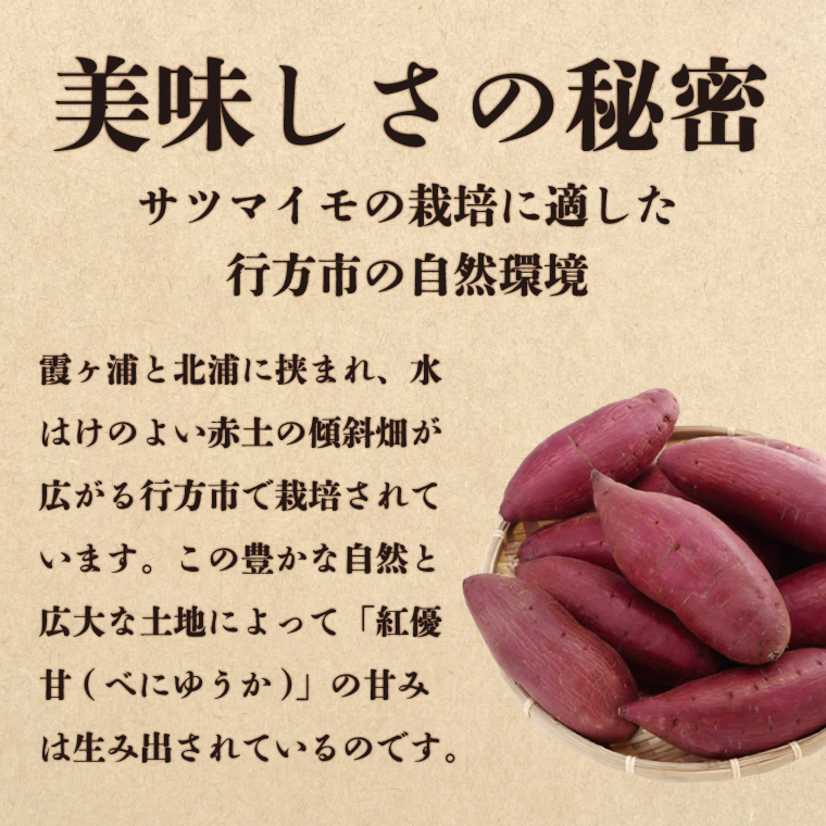 『天皇杯受賞』さつま芋使用 丸干し＆平干し芋食べ比べセット(AE-29)