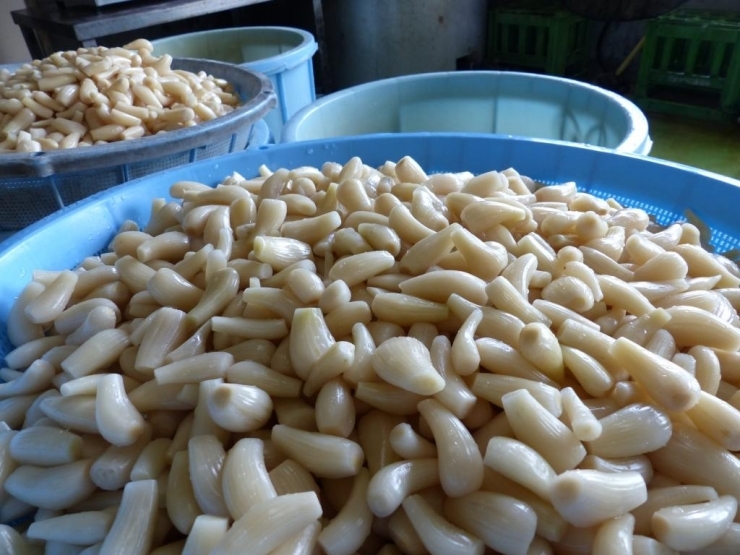 茨城県行方市のふるさと納税 BC-1 ☆茨城の甘楽京1200g（400g×３袋）