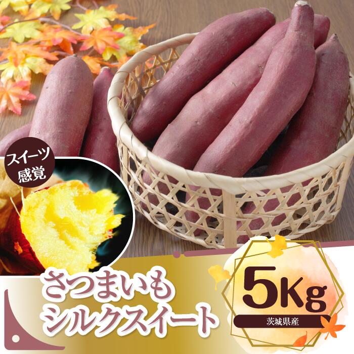 さつまいも　特選シルクスイート 約5kg｜さつまいも 芋 お芋 シルクスイート タネのハシモト 茨城県 行方市(BS-1)