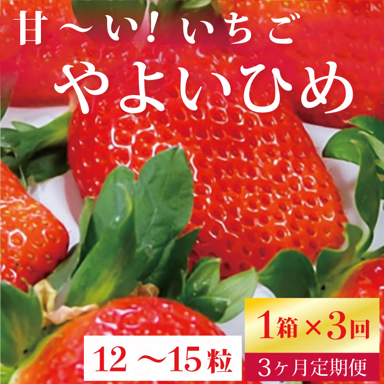 【2026年2月より順次発送】【3ヶ月定期便】甘～い！いちご やよいひめ 1箱(12粒～15粒入り)｜いちご イチゴ 苺 ストロベリー やよいひめ 果物 くだもの フルーツ 定期便 フルーツ定期便 先行予約 茨城県 行方市(V-16)