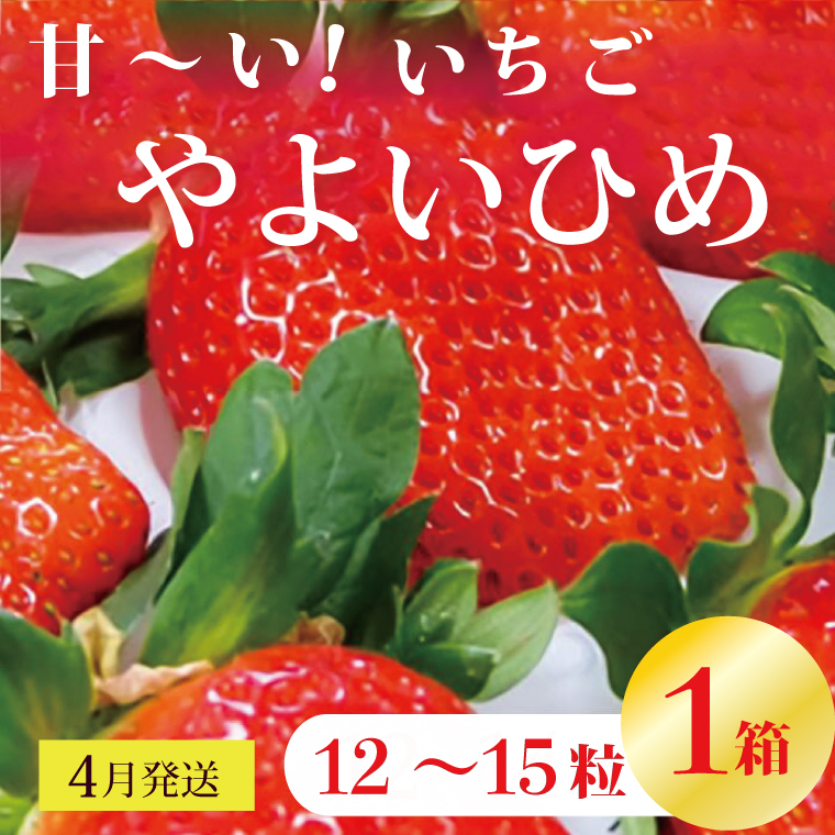 【2026年4月発送】甘～い！いちご やよいひめ 1箱(12粒～15粒入り)｜いちご イチゴ 苺 ストロベリー やよいひめ 果物 くだもの フルーツ 先行予約 茨城県 行方市(V-17)