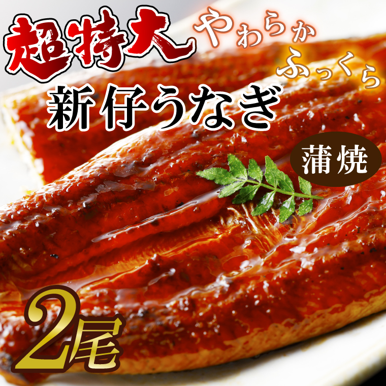y錧sszI炩YȂ220`250g 2@v440gȏ|Ȃ V   錧 ss(AD-95-1)
