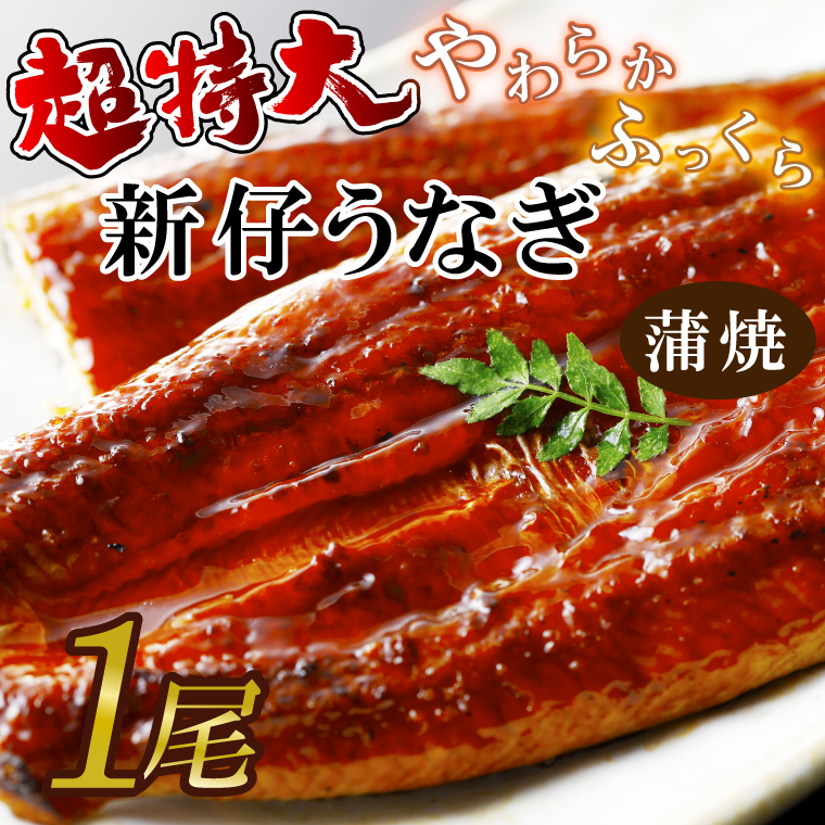 y錧sszI炩YȂ220`250g 1|Ȃ V   錧 ss(AD-96-1)