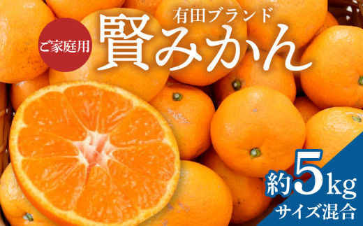 ZD92065_【家庭用】有田ブランド 賢みかん 約5kg（サイズ混合）