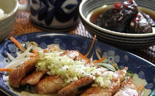 国産豚使用！豚トロ塩だれ 1,500g 国産豚 食感 脂身 秘伝 しおだれ フライパン ホットプレート 手軽 家庭 贅沢 お酒 つまみ おかず パーティー ジューシー 香ばしい お歳暮 お中元 F6T-573