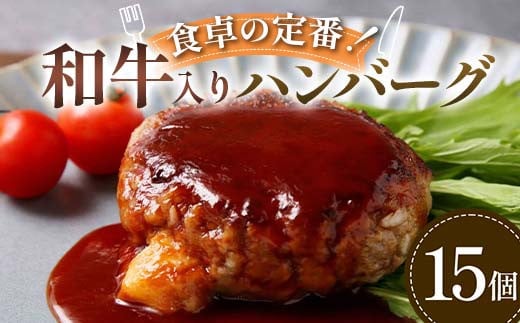 【富山県立山町】食卓の定番!和牛入りハンバーグ 15個 豚肉 和牛 定番 ジューシー 肉汁 手軽  メインディッシュ ジュワッ お子さま 大人 シンプル 飽きない お歳暮 お中元 F6T-594