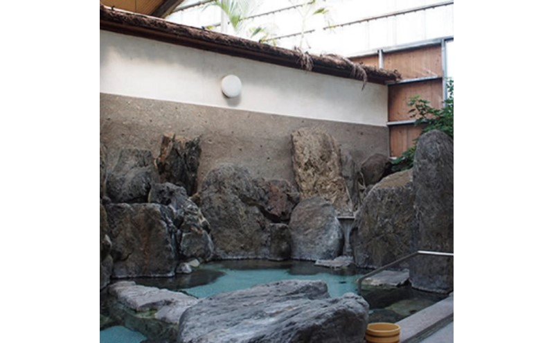 温泉 天然温泉100％ 源泉かけ流し 大浴場チケット5枚綴り×2セット 天然温泉 チケット 源泉