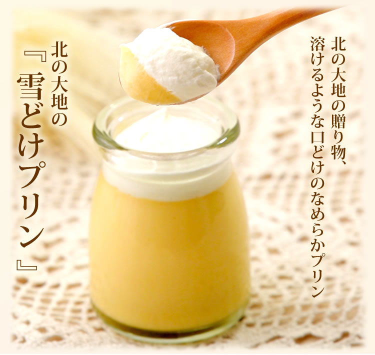 北の大地 の 『 雪どけ プリン 』 ４個 入り × 2セット スイーツ デザート 洋菓子 ギフト 牛乳 卵 生クリーム カラメル 瓶入り 冷凍 北海道 新ひだか町   