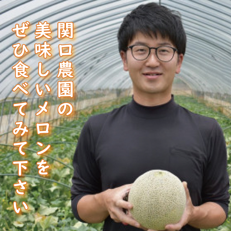 【2026年5月より順次発送】特大玉イバラキングメロン＆クインシーメロン（各1玉／計2玉）｜メロン クインシーメロン イバラキングメロン フルーツ 果物 くだもの 特大 先行予約 茨城県 行方市(BW-16-1)