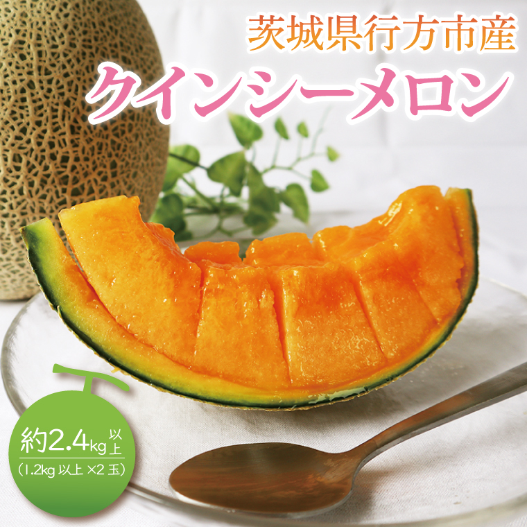 【2026年5月より順次発送】クインシーメロン（2玉）｜メロン クインシーメロン フルーツ 果物 くだもの 先行予約 茨城県 行方市(BW-19-1)