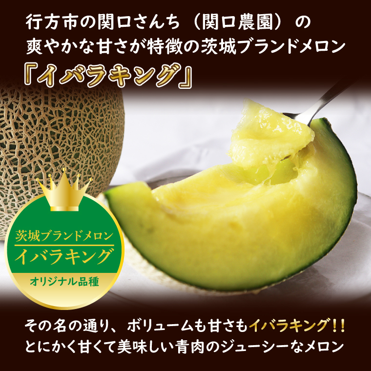 【2026年5月より順次発送】イバラキングメロン（2玉）｜メロン イバラキングメロン フルーツ 果物 くだもの 先行予約 茨城県 行方市(BW-20-1)