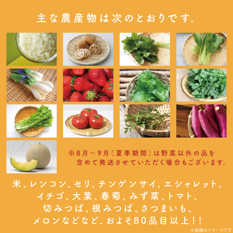 野菜王国なめがたの旬野菜便(米 5kg入り)｜野菜 やさい 米 お米 旬 野菜セット セット 茨城県 行方市(CU-135)