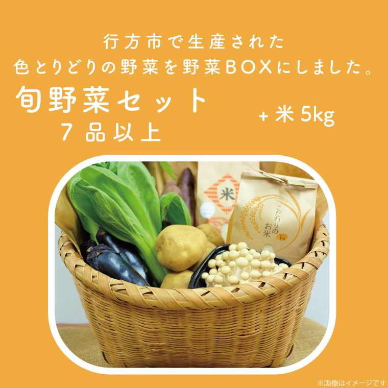 野菜王国なめがたの旬野菜便(米 5kg入り)｜野菜 やさい 米 お米 旬 野菜セット セット 茨城県 行方市(CU-135)