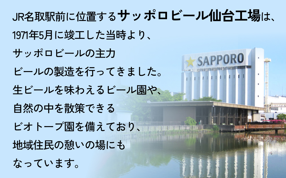 宮城県名取市のふるさと納税 ニッポン の シン ・ レモンサワー 500ml×48缶(2ケース分)同時お届け サッポロ 缶 チューハイ 酎ハイ