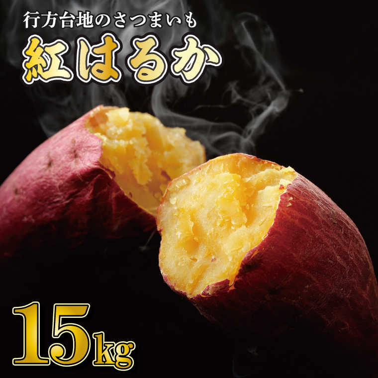 茨城県行方市のふるさと納税 【2026年1月より順次発送】★訳あり★ 無選別 行方台地のさつまいも 紅はるか 約15kg｜訳あり ワケアリ 訳アリ さつまいも サツマイモ さつま芋 紅はるか 無選別 べにはるか 行方市 ふるさと納税(CU-318)
