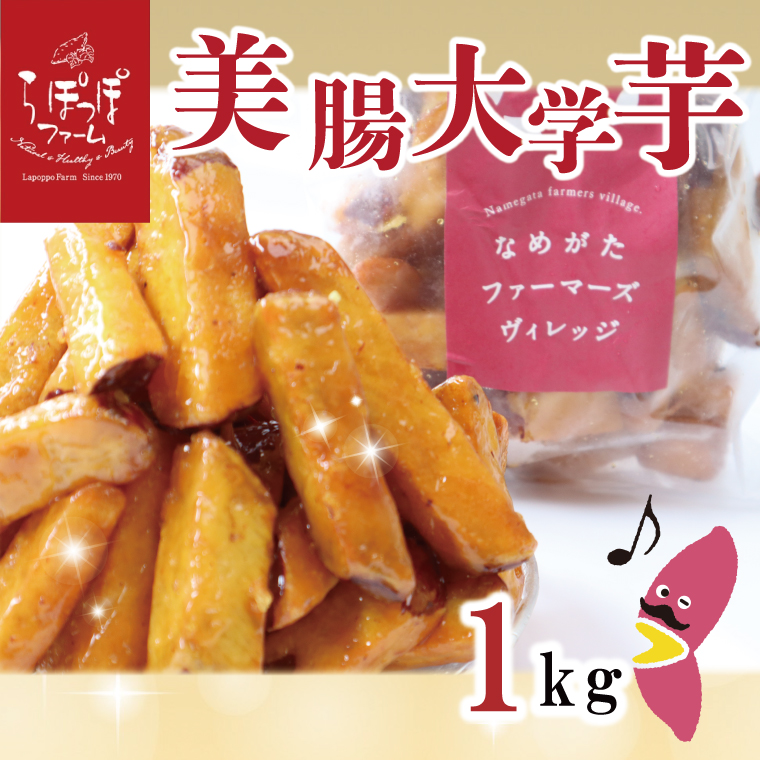 y錧sszy2025N12{菇zۂۃt@[yH꒼zw 1kgb܂ w  Tc}C  XC[c َq Ⓚ w lC  錧 ss ۂۃt@[(CQ-19)