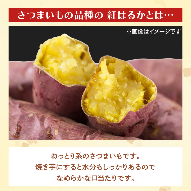 【2025年12月より順次発送】茨城県産 紅はるか 訳あり サイズミックス　約5kg｜訳あり わけあり 訳アリ さつまいも サツマイモ さつま芋 紅はるか べにはるか 芋 いも 茨城県産 行方市(FU-1)
