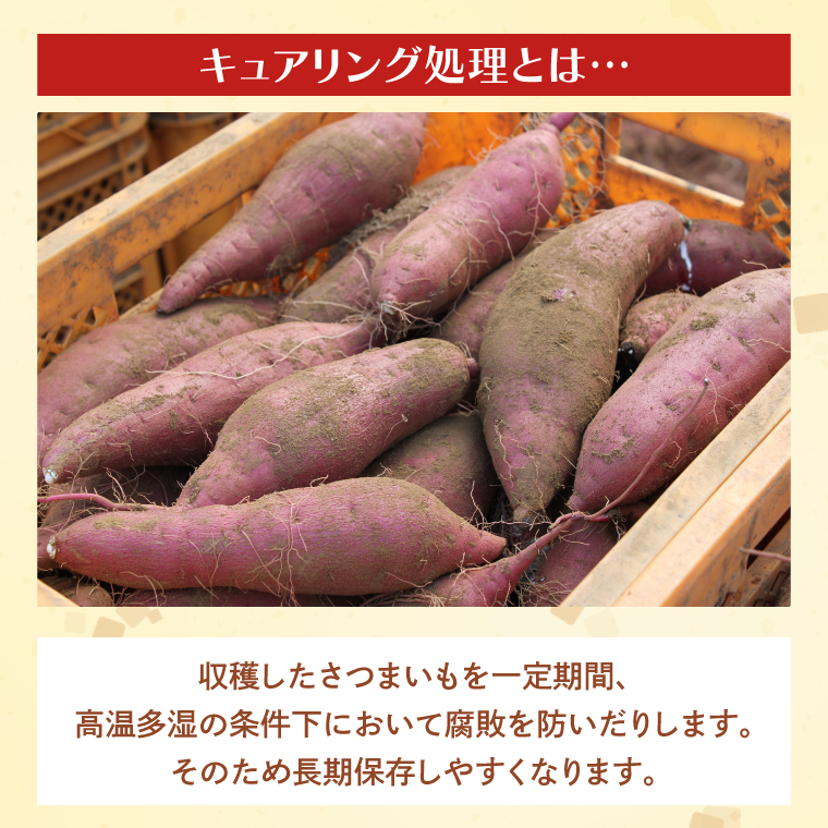 【2025年12月より順次発送】茨城県産 紅はるか 訳あり サイズミックス　約5kg｜訳あり わけあり 訳アリ さつまいも サツマイモ さつま芋 紅はるか べにはるか 芋 いも 茨城県産 行方市(FU-1)