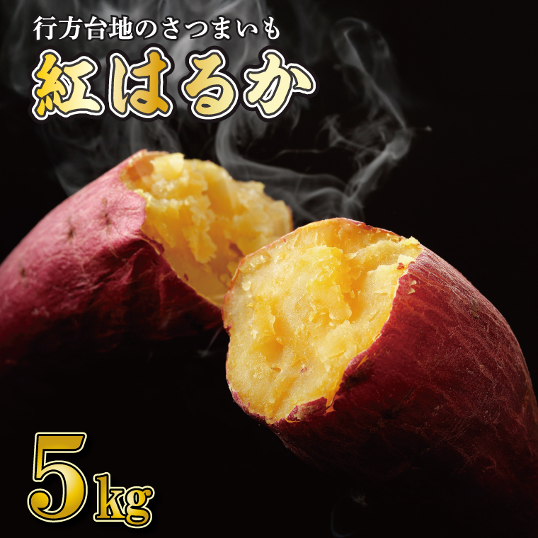 【2026年2月より順次発送】★訳あり★ 無選別 行方台地のさつまいも 紅はるか 約5kg｜訳あり ワケアリ 訳アリ さつまいも サツマイモ さつま芋 紅はるか 無選別 べにはるか 行方市 ふるさと納税(CU-317)